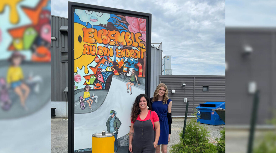 Projet « Murales au skatepark » par la Ville de Louiseville